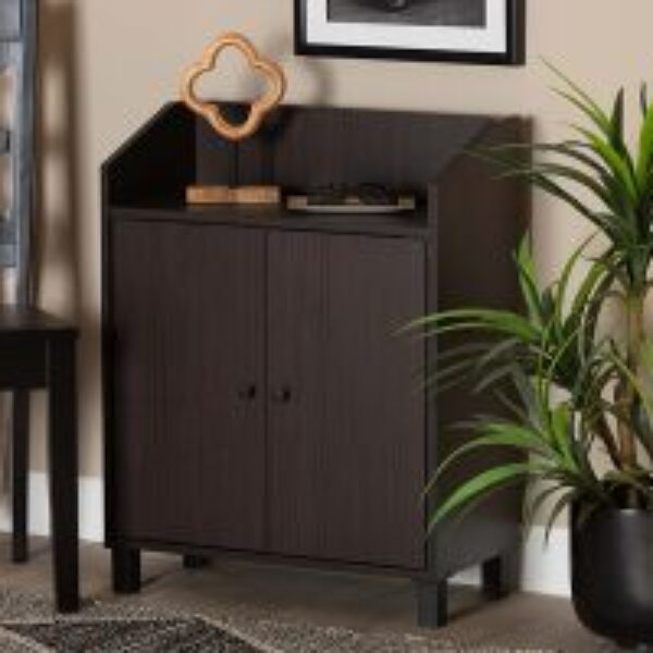 Rossin Modern and Contemporary Dark Brown Finished Wood 2-Door Entryway Shoe Storage Cabinet with Top Shelf