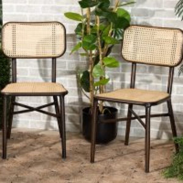Katina Mid-Century Modern Dark Brown Finished Metal and Synthetic Rattan 2-Piece Outdoor Dining Chair Set