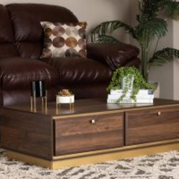 Cormac Mid-Century Modern Transitional Walnut Brown Finished Wood and Gold Metal 2-Drawer Coffee Table