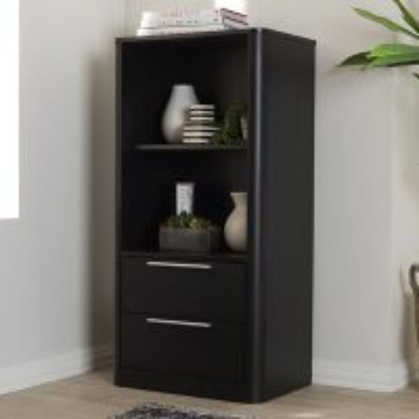 Carlingford Modern and Contemporary Espresso Brown Finished Wood 2-Drawer Bookcase