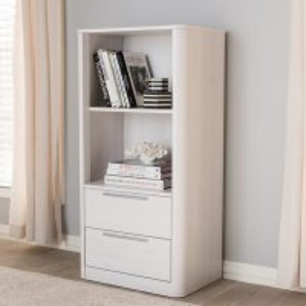 Carlingford Modern and Contemporary Whitewashed Wood 2-Drawer Bookcase