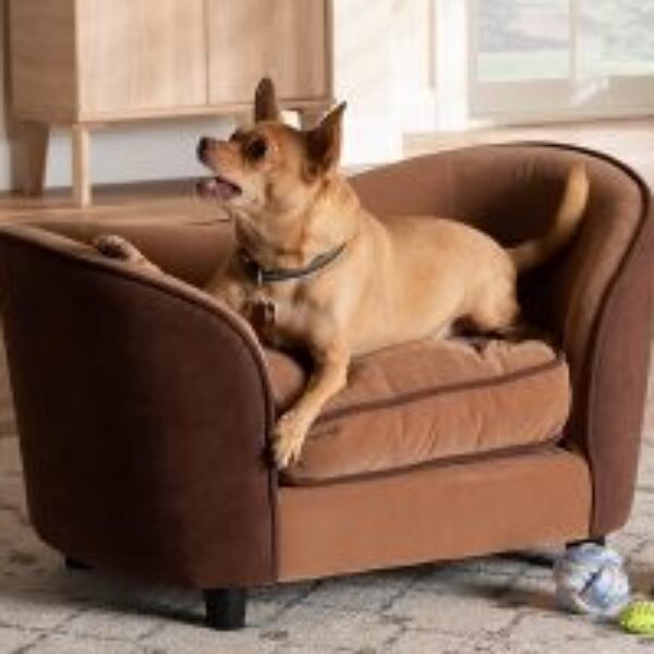 Hayes Modern and Contemporary Two-Tone Light Brown and Dark Brown Fabric Upholstered Pet Sofa Bed